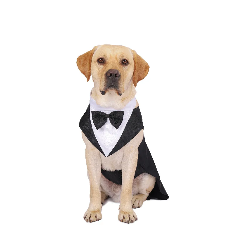 Ubrania dla psów Moda Impreza  – Suit Supply Wedding Party recenzja i cena