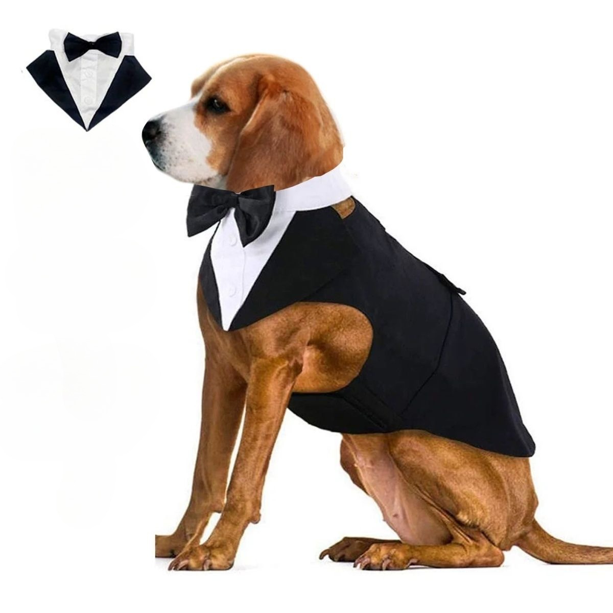 Ubrania dla psów, moda, imprez – Suit Supply Wedding Party recenzja i cena